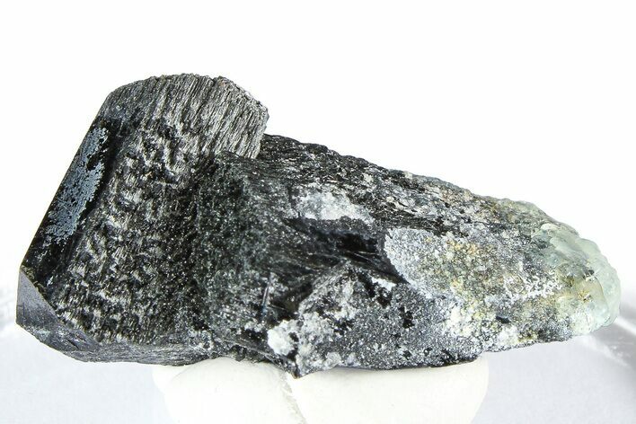 Lustrous Black Tourmaline (Schorl) Crystal Cluster - Namibia #361670